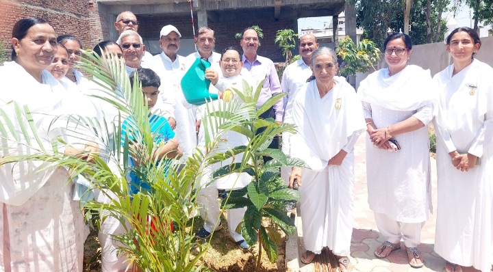 Pathankot(PB) - World Environment Day Activities Taken Out